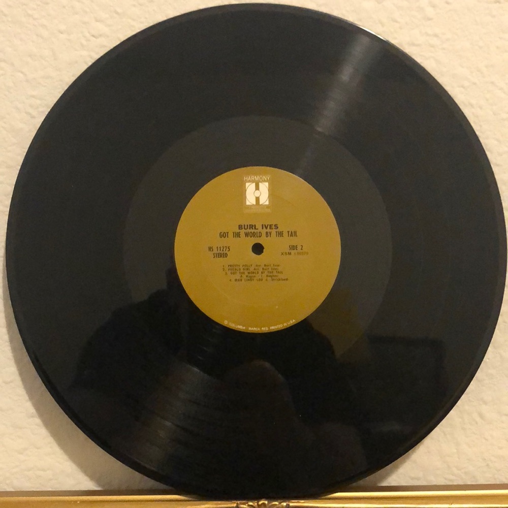 Burl Ives Got The World By The Tail Vinyl Lp